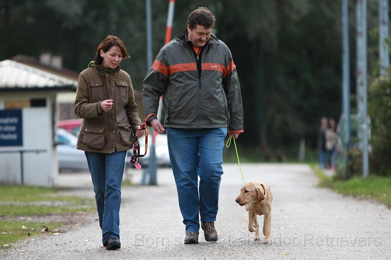 2wt-167.jpg - Hervorragend, ein gehorsamer Hund