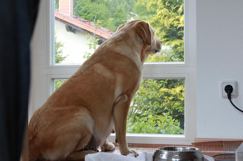 IMG_3079.JPG - ...und warten