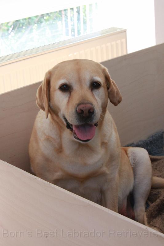 IMG_3082.JPG - ...und wieder hecheln