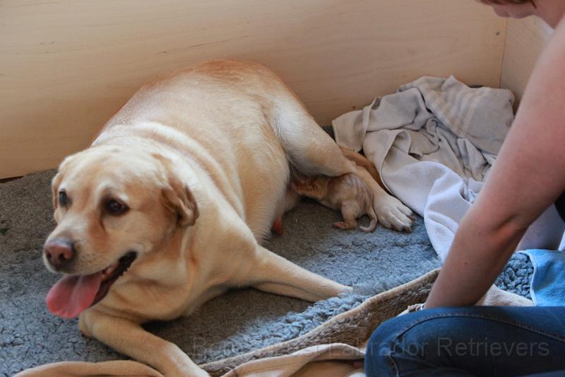 IMG_3098.JPG - Und weiter geht's