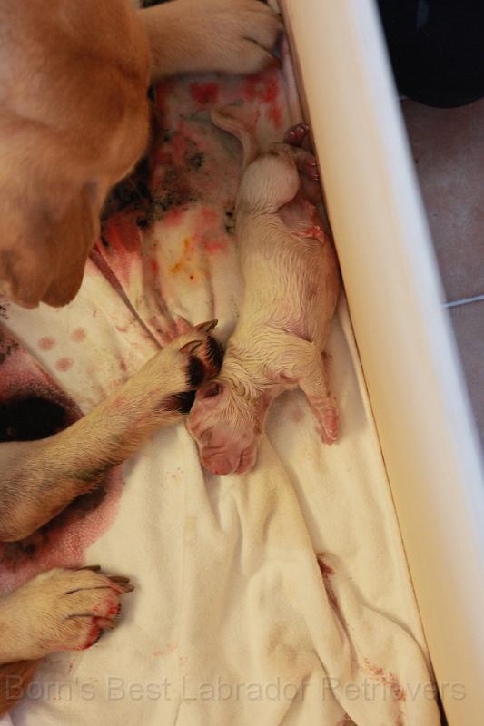 IMG_3124.JPG - Hier ist Nummer 2