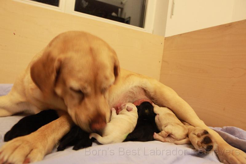 IMG_3160.JPG - Stunden später