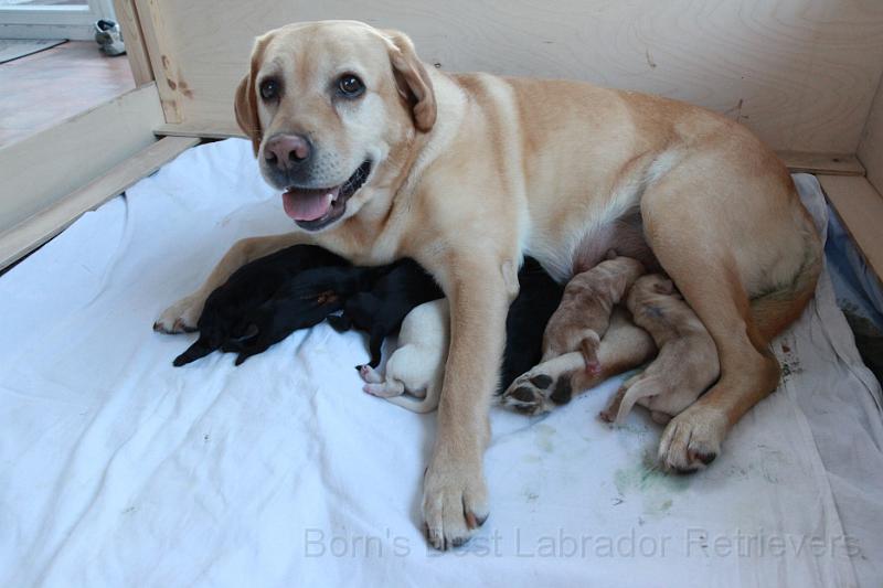 IMG_3215.JPG - Hab ich das nicht gut gemacht!?!