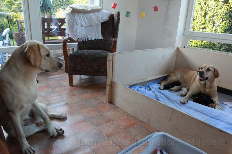 IMG_3279.JPG - Da guckst du, was?