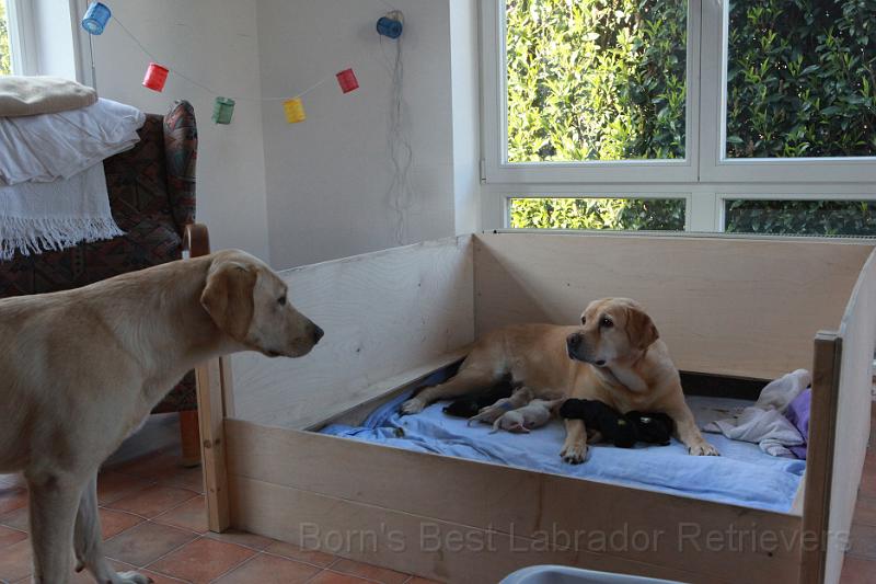 IMG_3284.JPG - Komm mir bloss nicht zu nahe!