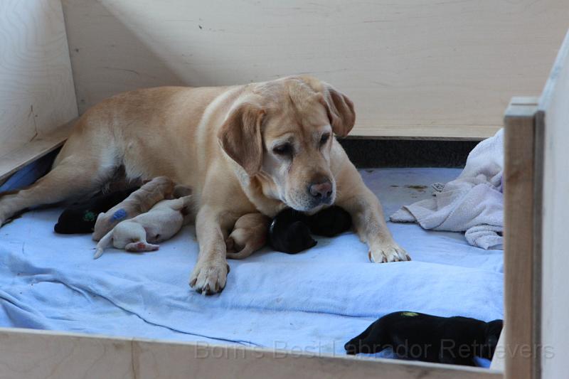 IMG_3286.JPG - Wo will der denn jetzt hin?