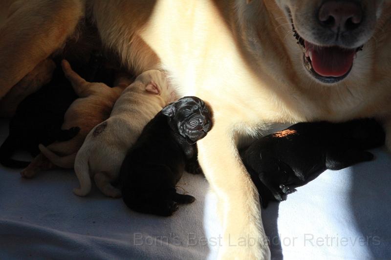 IMG_3290.JPG - Wie schön, ein Platz an der Sonne.