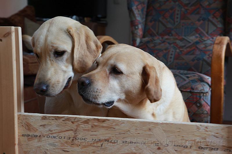 IMG_3836.JPG - Wie in der Muppet-Show!