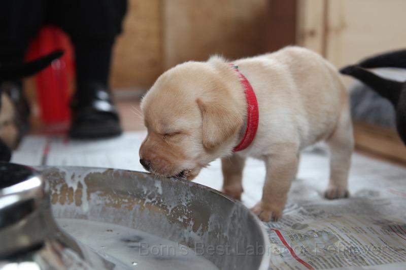 IMG_4013.JPG - Mhm das schmeckt!