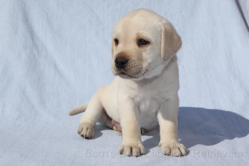 IMG_4413.JPG - Benny