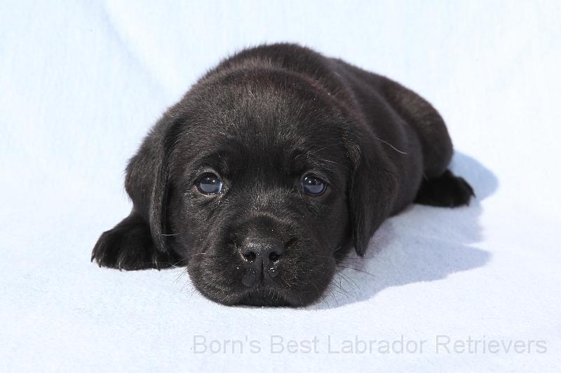 IMG_4430.JPG - Baily