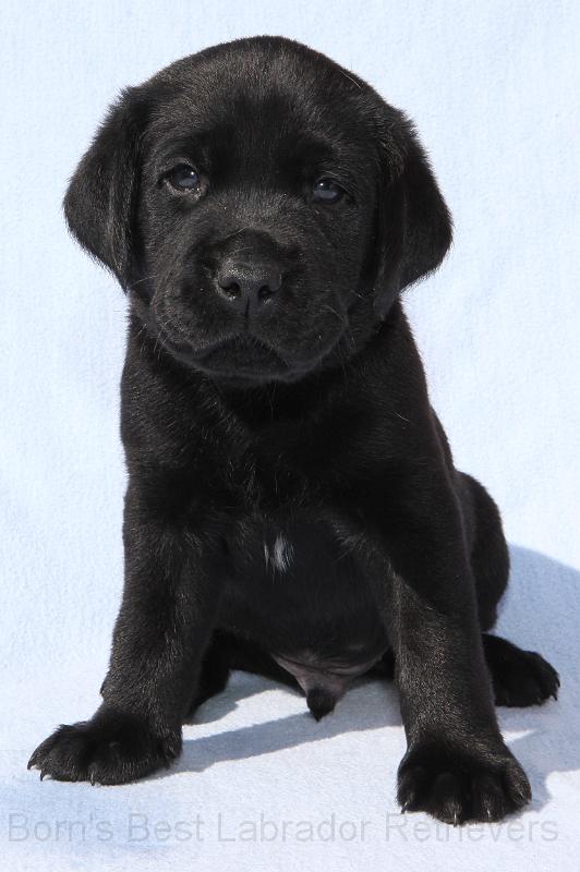 IMG_4465.JPG - Baxter