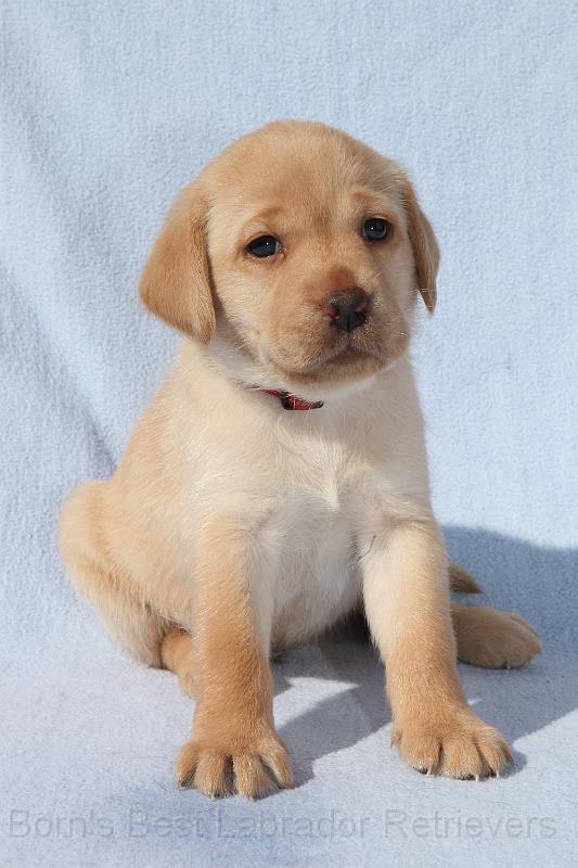 IMG_4481.JPG - Bella