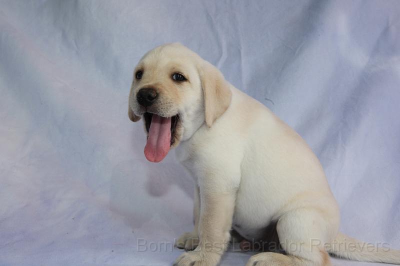 IMG_4651.JPG - Benny