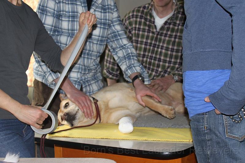 IMG_2244.JPG - und noch ein Tape, damit es besser hält