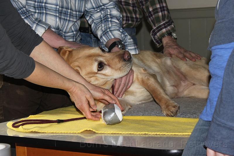 IMG_2245.JPG - sieht doch amtlich aus, oder?