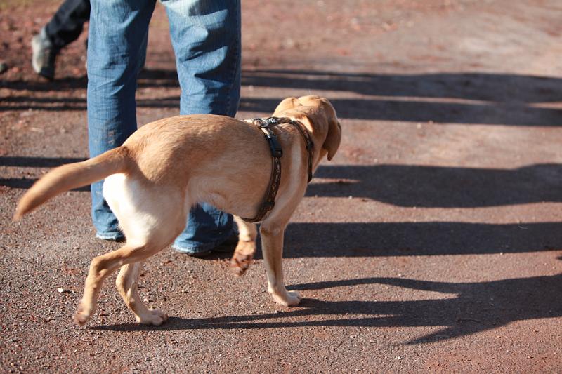 IMG_7735.JPG - Bella