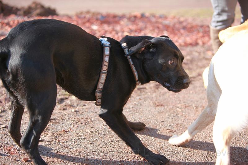 IMG_7739.JPG - Baily