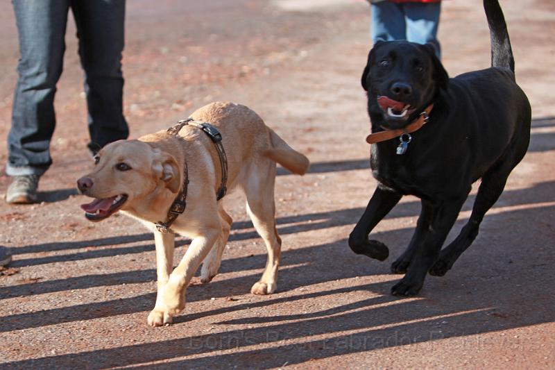 IMG_7743.JPG - Bella & Baxter