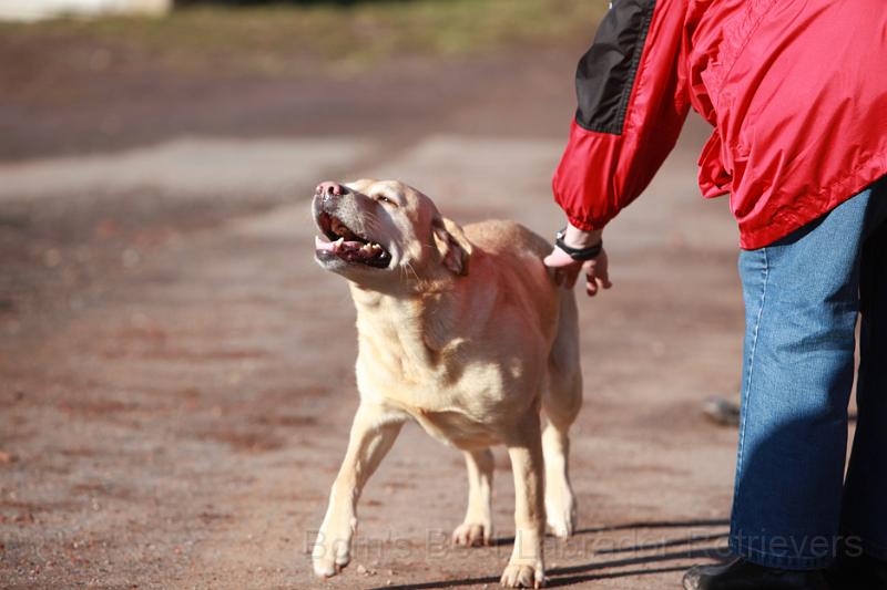 IMG_7746.JPG - Askia