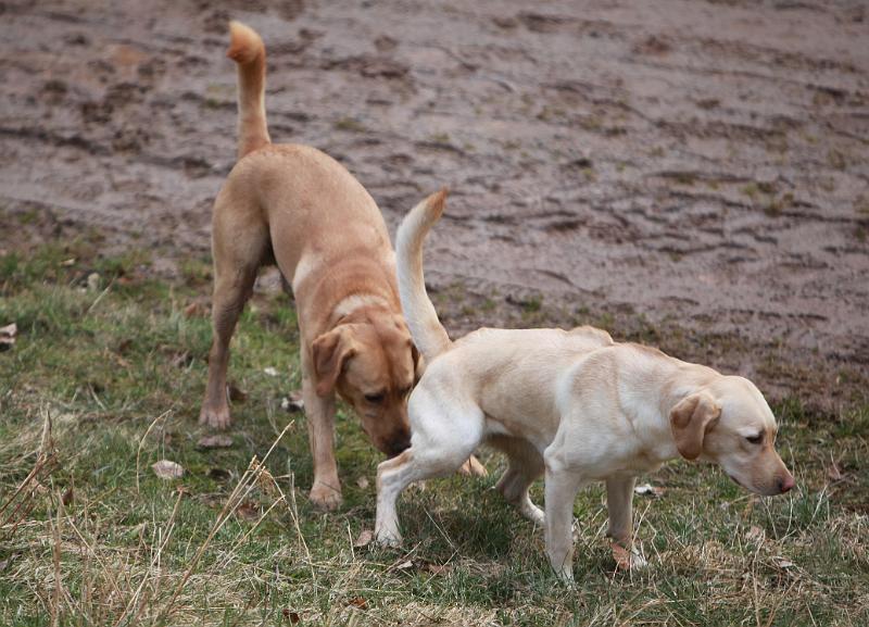 IMG_7787.JPG - Ayk & Abby