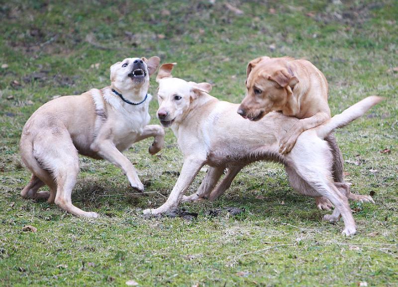 IMG_7831.JPG - ohne Worte