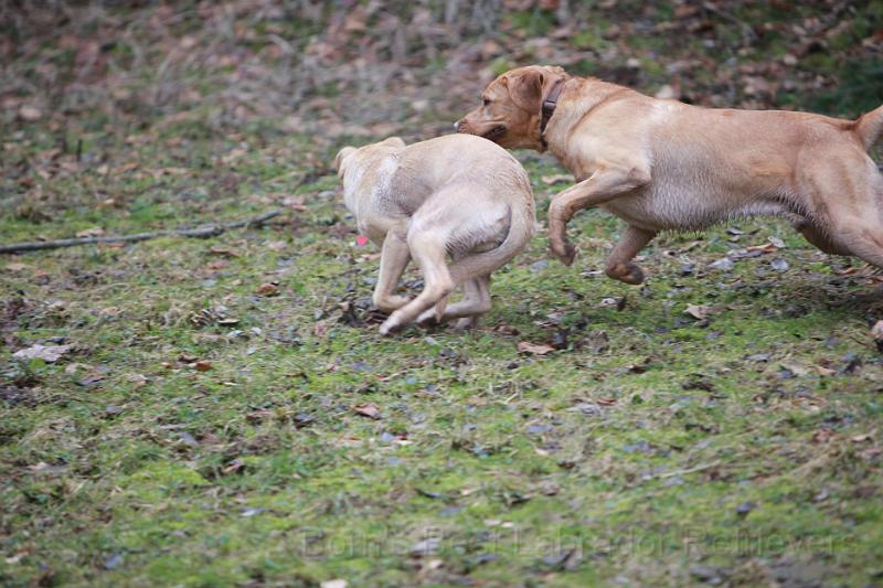 IMG_7836.JPG - Da hat aber einer Angst!