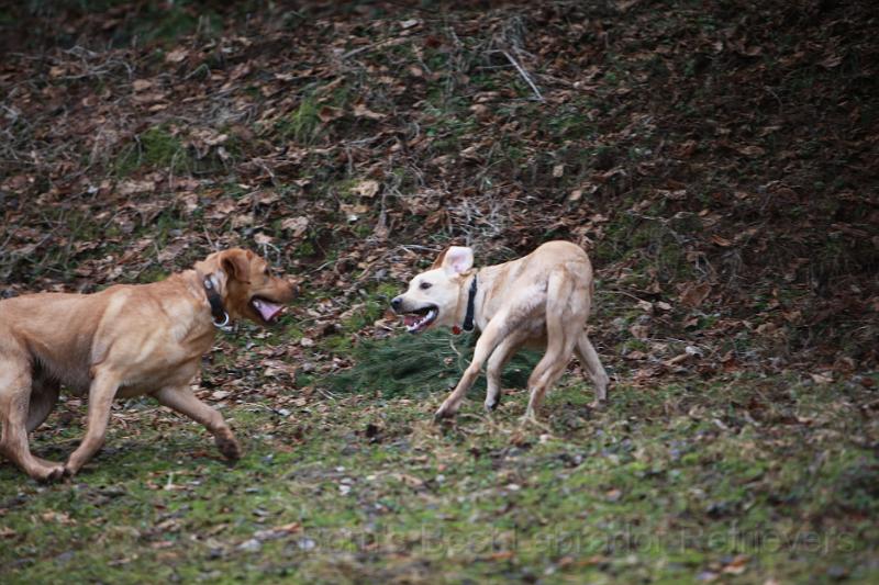 IMG_7848.JPG - Jetzt reicht's mir aber!