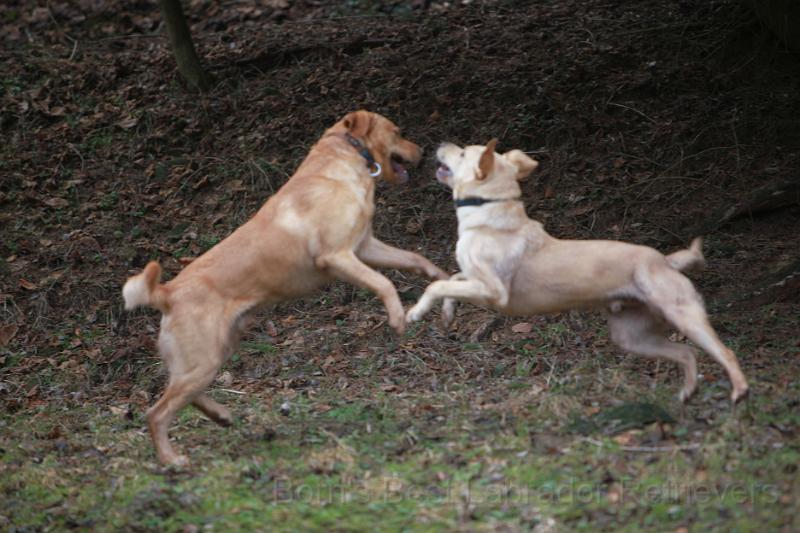 IMG_7850.JPG - Wäre schön, wenn das Motiv scharf wäre!