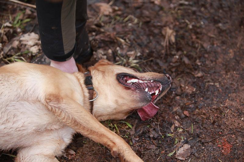 IMG_7858.JPG - Erziehung muss sein