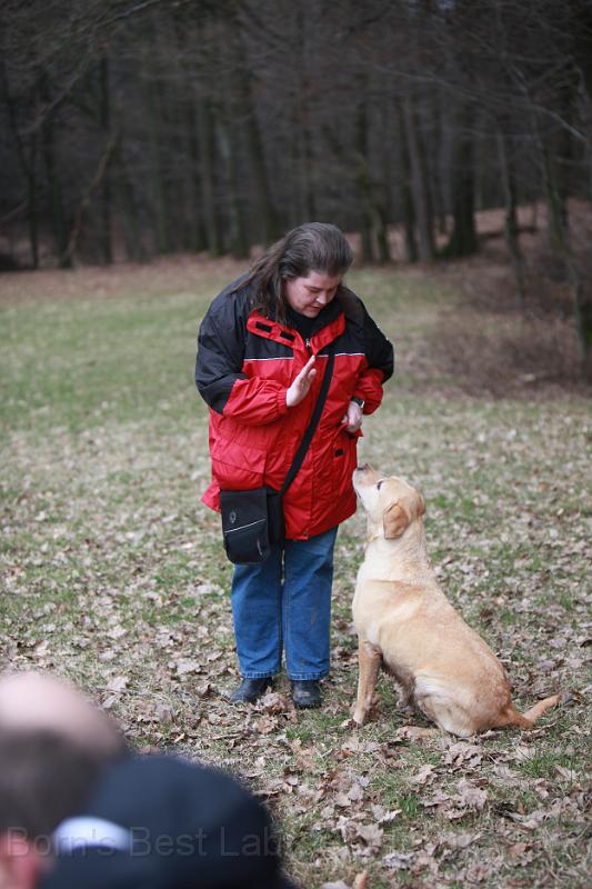 IMG_7870.JPG - Gibt es da etwa Leckerlis?