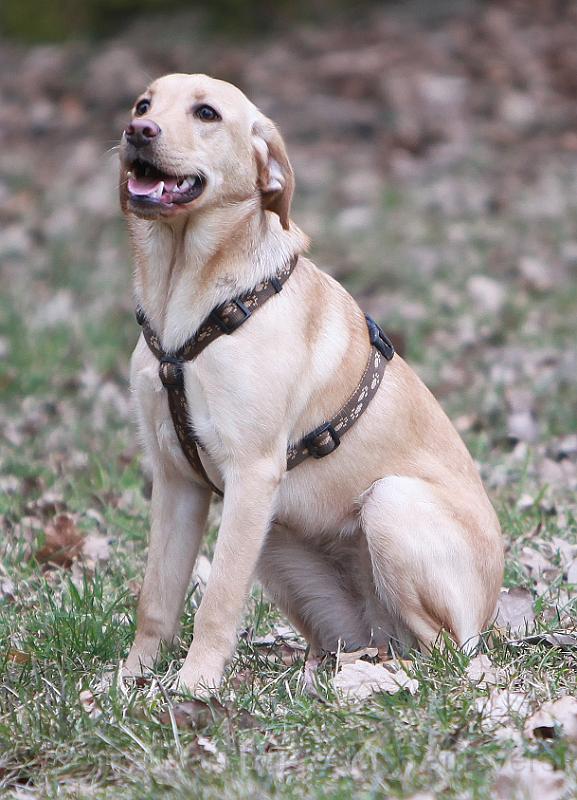 IMG_7909.JPG - Bella