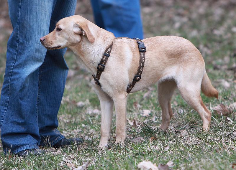 IMG_7910.JPG - Bella