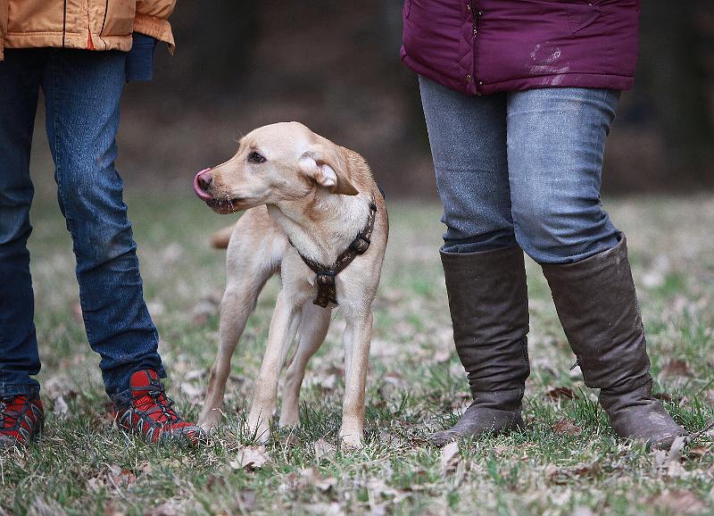 IMG_7923.JPG - Bella