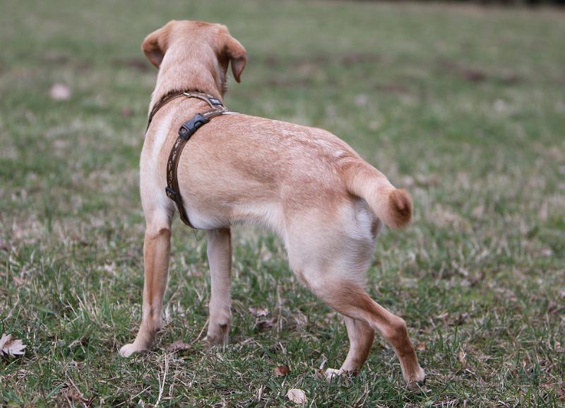 IMG_7940.JPG - Bella