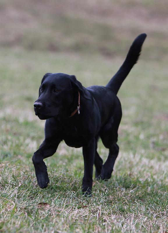 IMG_7941.JPG - Baxter