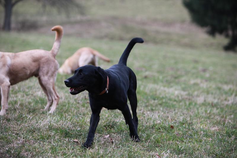 IMG_7942.JPG - Baxter